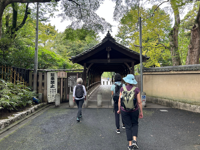 Picture of Japan's Kumano Kodo Pilgrimage Trail
