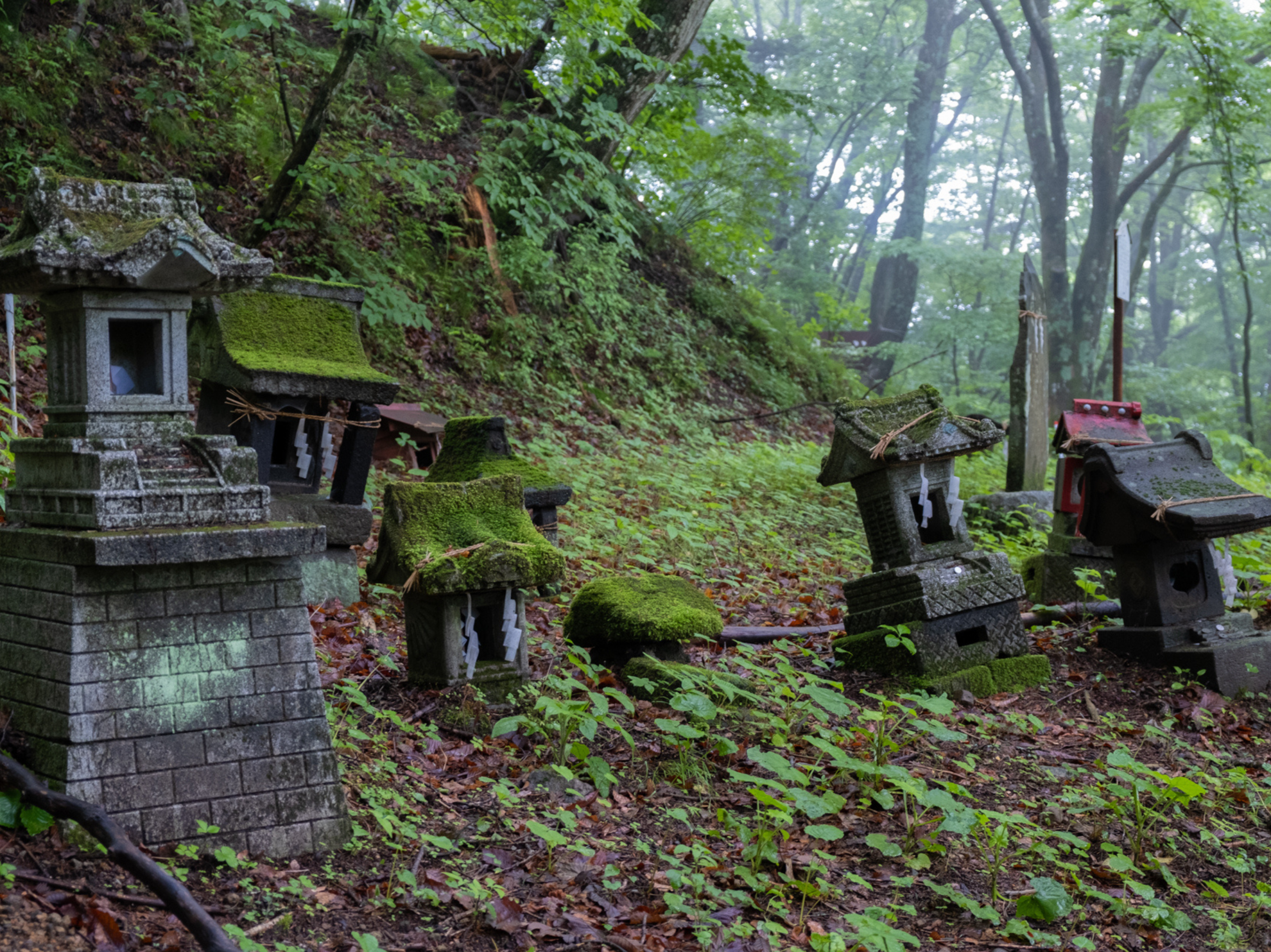 Picture of Japan's Culture and Countryside
