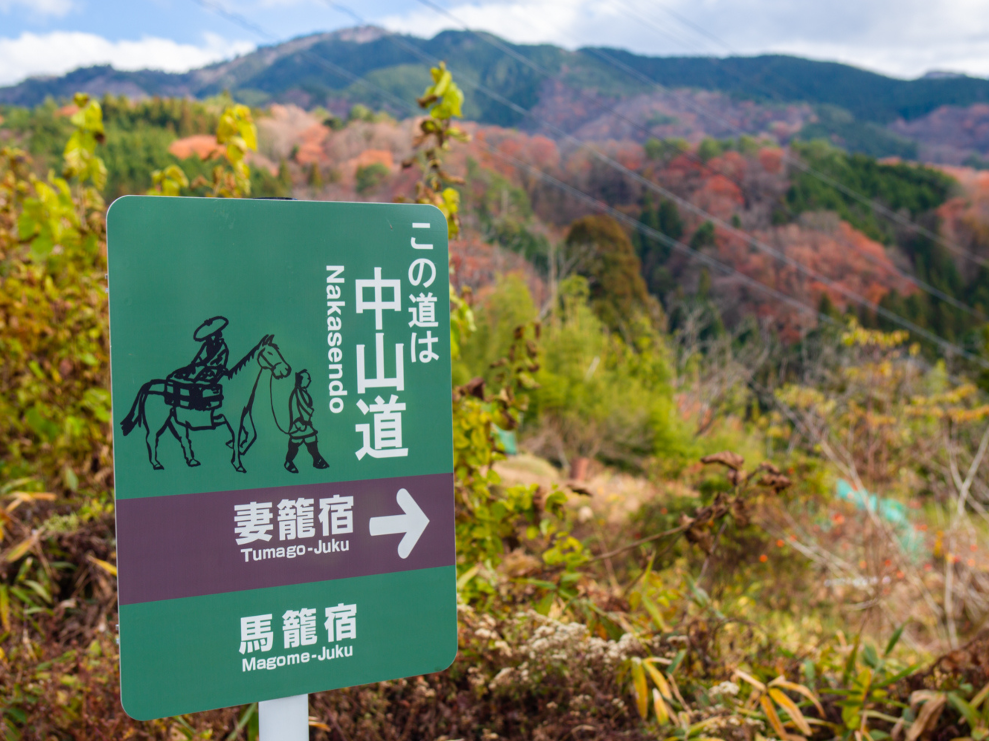 Picture of Japan's Culture and Countryside