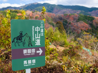 Picture of Japan's Culture and Countryside