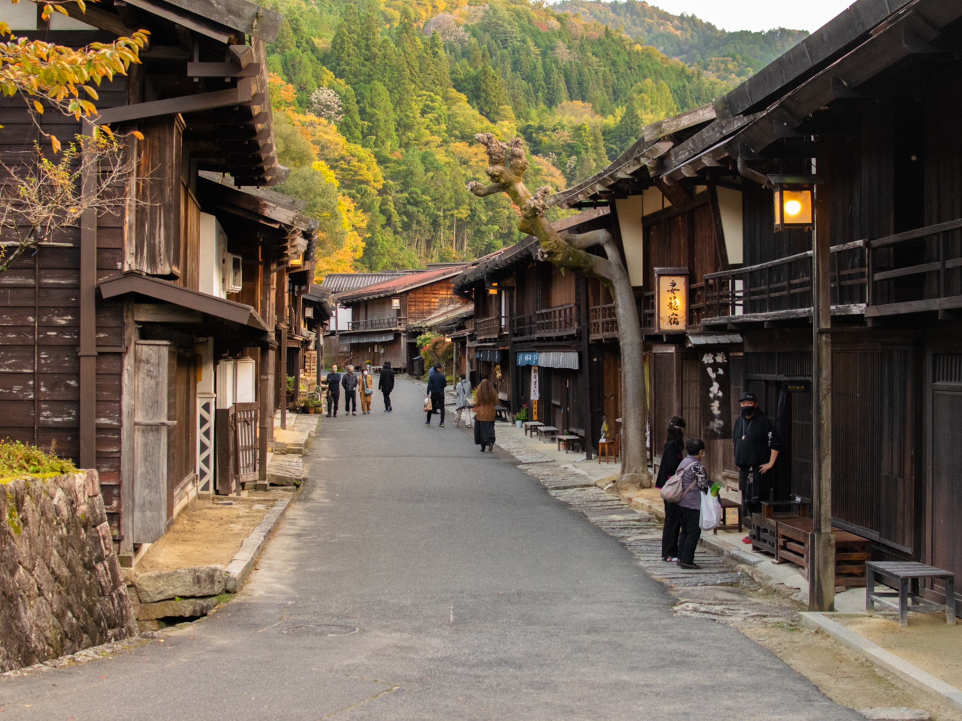 Picture of Japan's Culture and Countryside