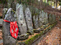 Picture of Japan's Culture and Countryside