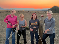 Picture of Living the Cowgirl Life Picture of Living the Cowgirl Life