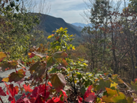 Picture of Slackpacking® Vermont Picture of Slackpacking® Vermont