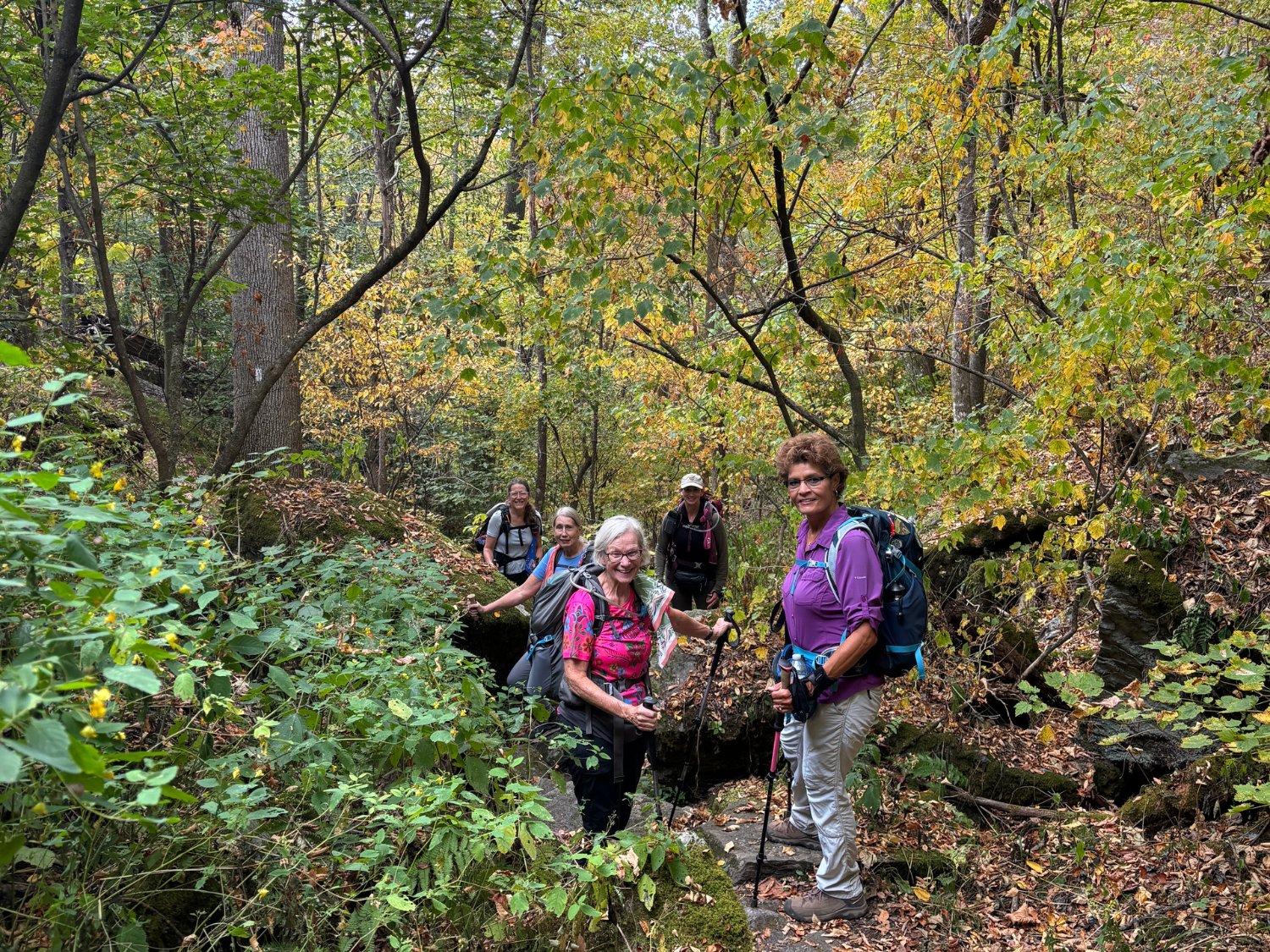 Picture of Slackpacking® Vermont