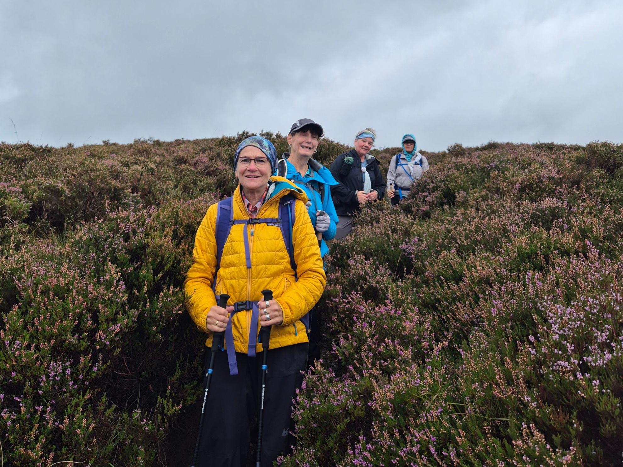 Picture of Ireland Trails & Rhythmic Tales Picture of Ireland Trails & Rhythmic Tales