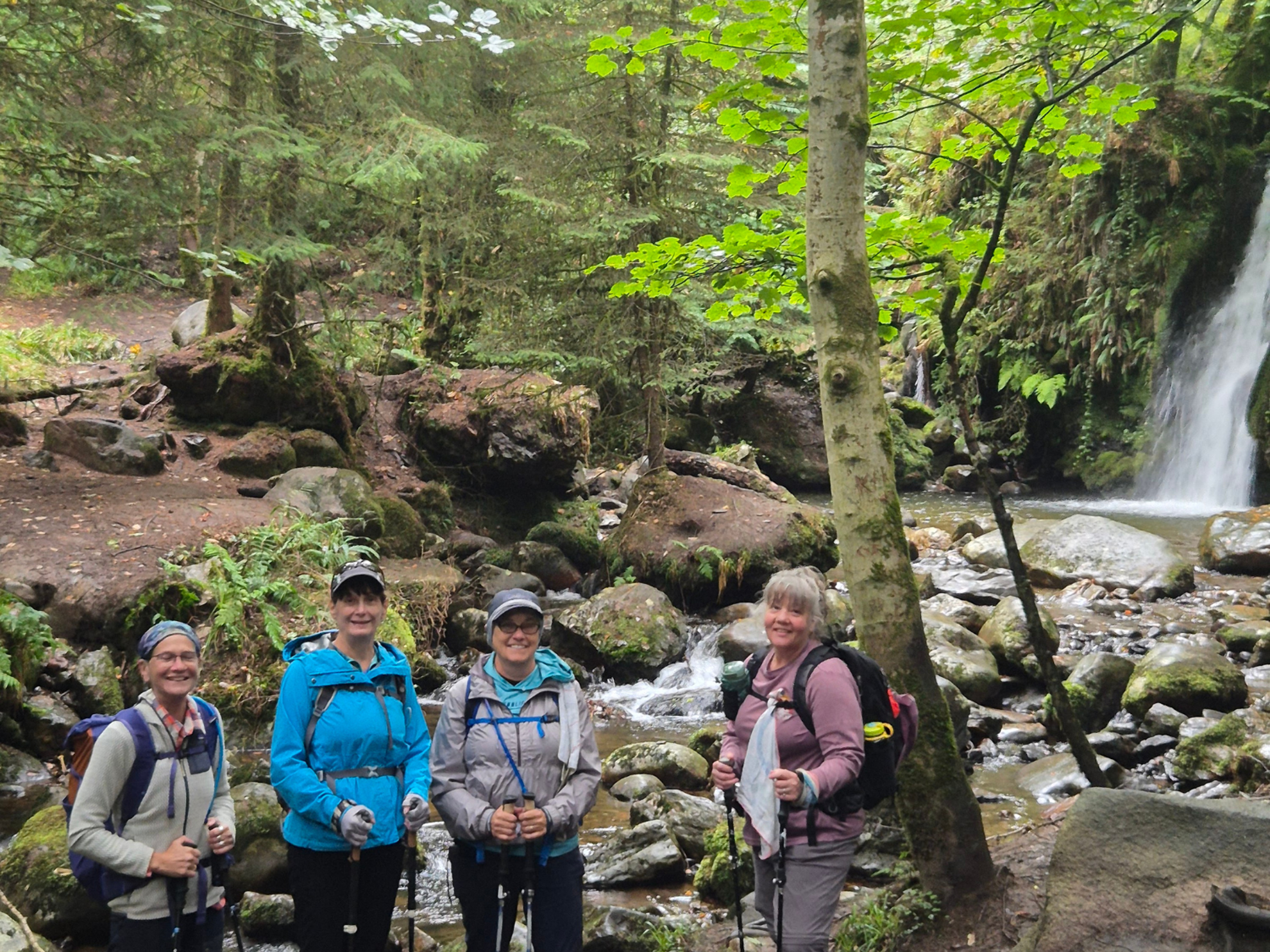 Picture of Ireland Trails & Rhythmic Tales Picture of Ireland Trails & Rhythmic Tales