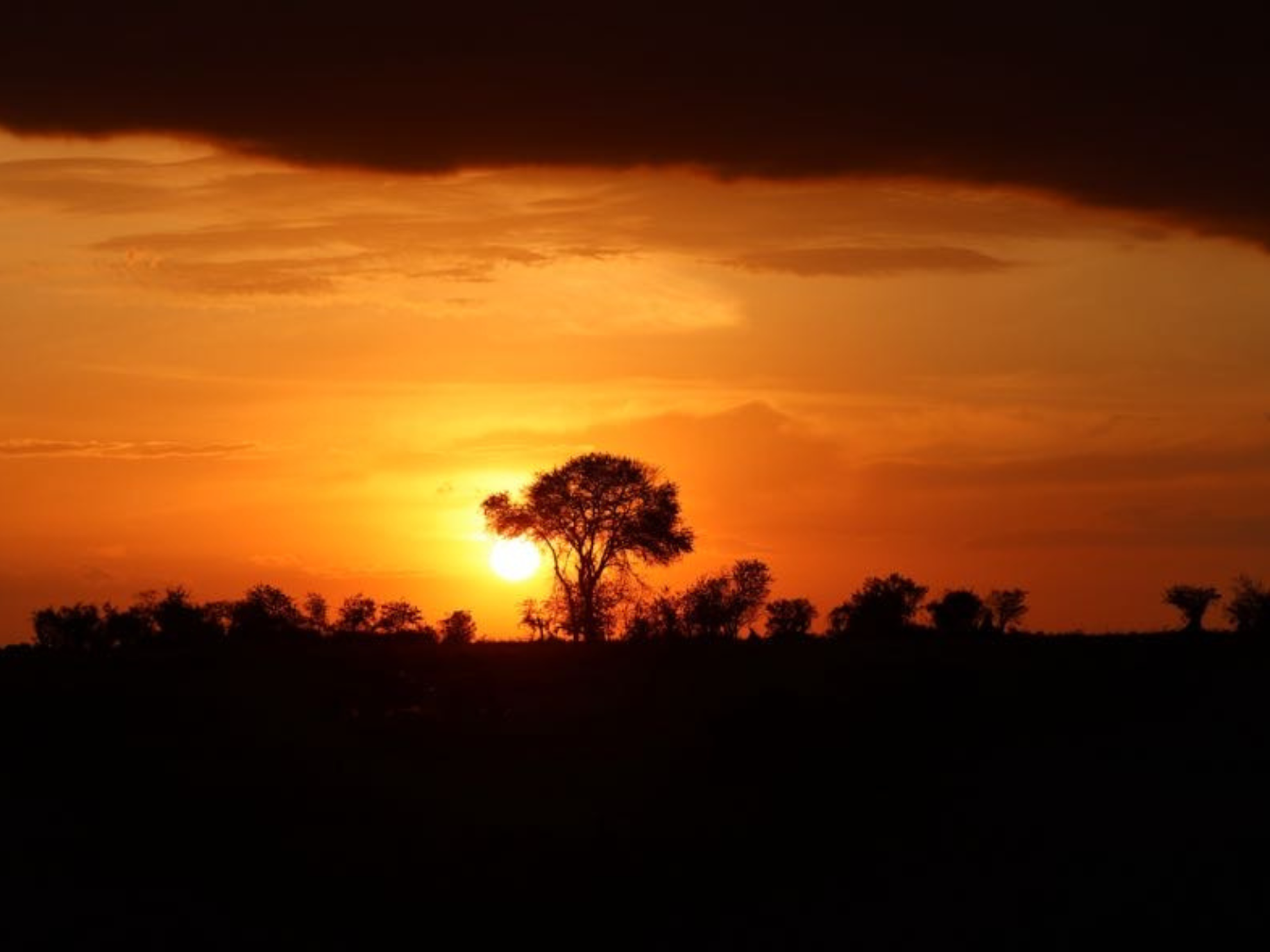 Picture of Tanzania Journey: Ngorongoro Highlands Trek and Wildlife Safari