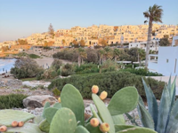 Picture of Island Hopping in the Greek Islands Picture of Island Hopping in the Greek Islands