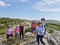 Picture of Ireland: Castles, Culture, and Hiking Picture of Ireland: Castles, Culture, and Hiking