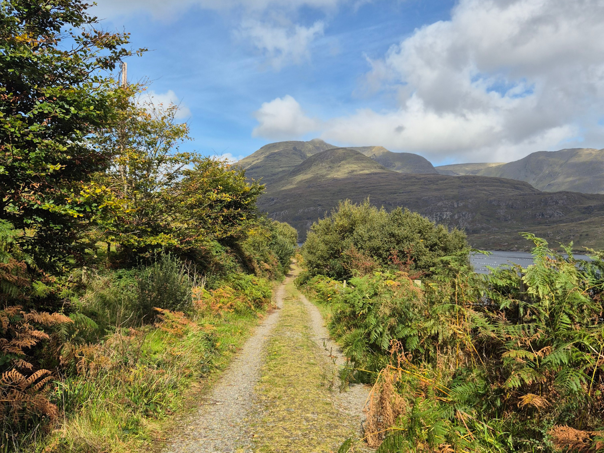 Picture of Ireland: Castles, Culture, and Hiking Picture of Ireland: Castles, Culture, and Hiking