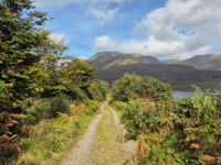 Picture of Ireland: Castles, Culture, and Hiking Picture of Ireland: Castles, Culture, and Hiking