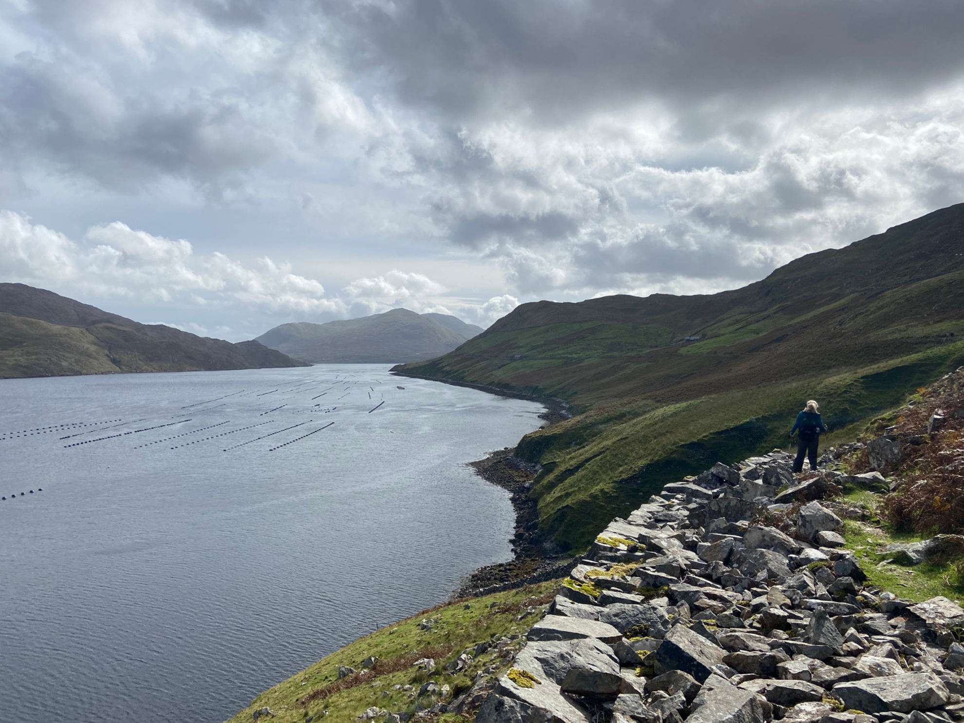 Picture of Ireland: Castles, Culture, and Hiking Picture of Ireland: Castles, Culture, and Hiking