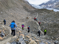Picture of Canadian Rockies Hiking Holiday Picture of Canadian Rockies Hiking Holiday