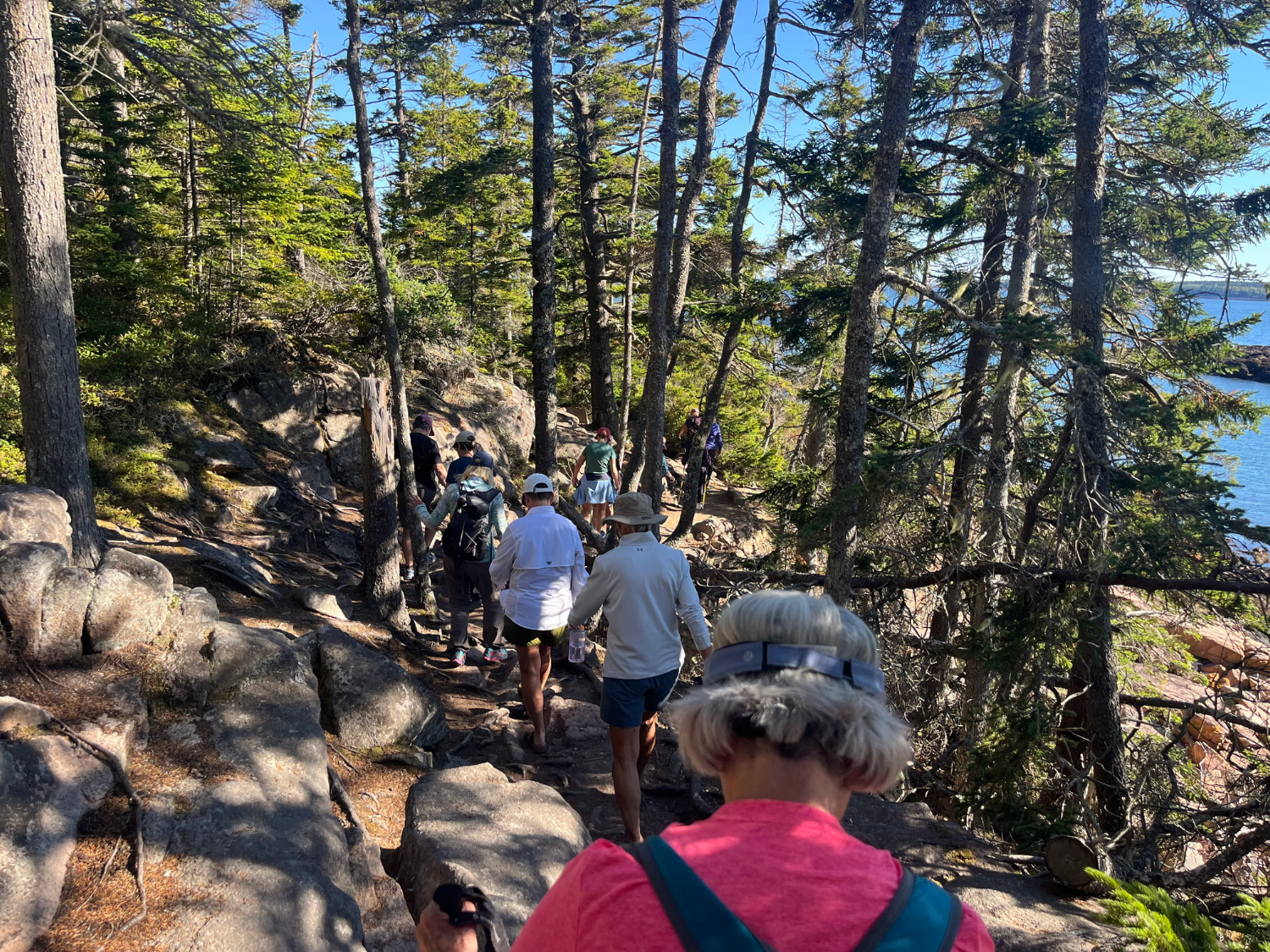 Picture of Magical Maine: Acadia National Park