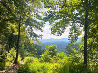 Picture of Appalachian Autumn Adventures