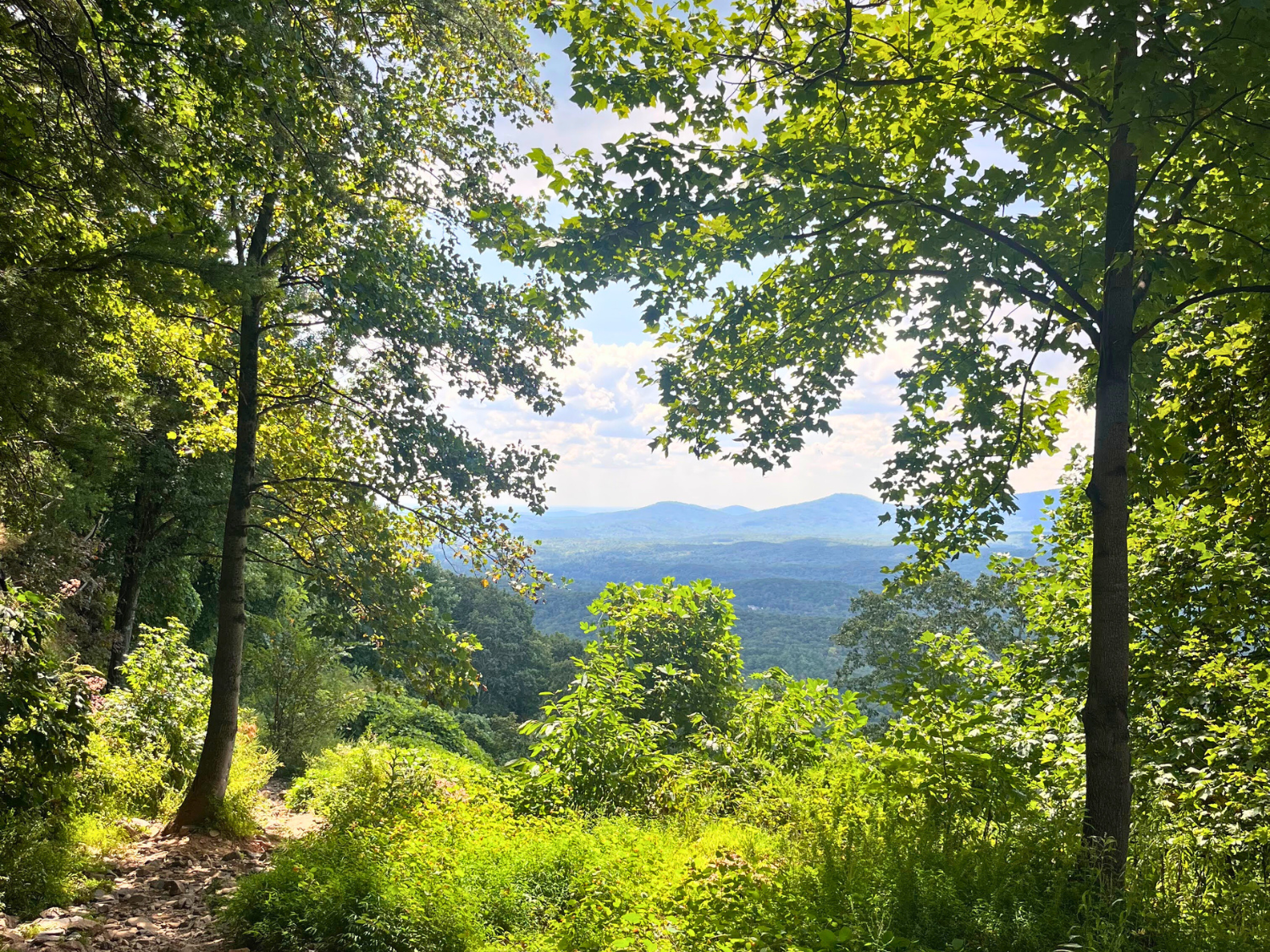 Picture of Appalachian Mountain Escape