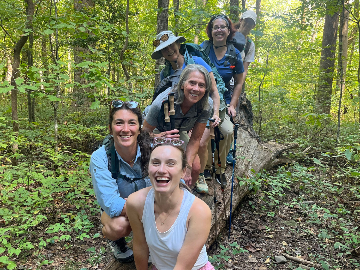 Picture of Appalachian Autumn Adventures