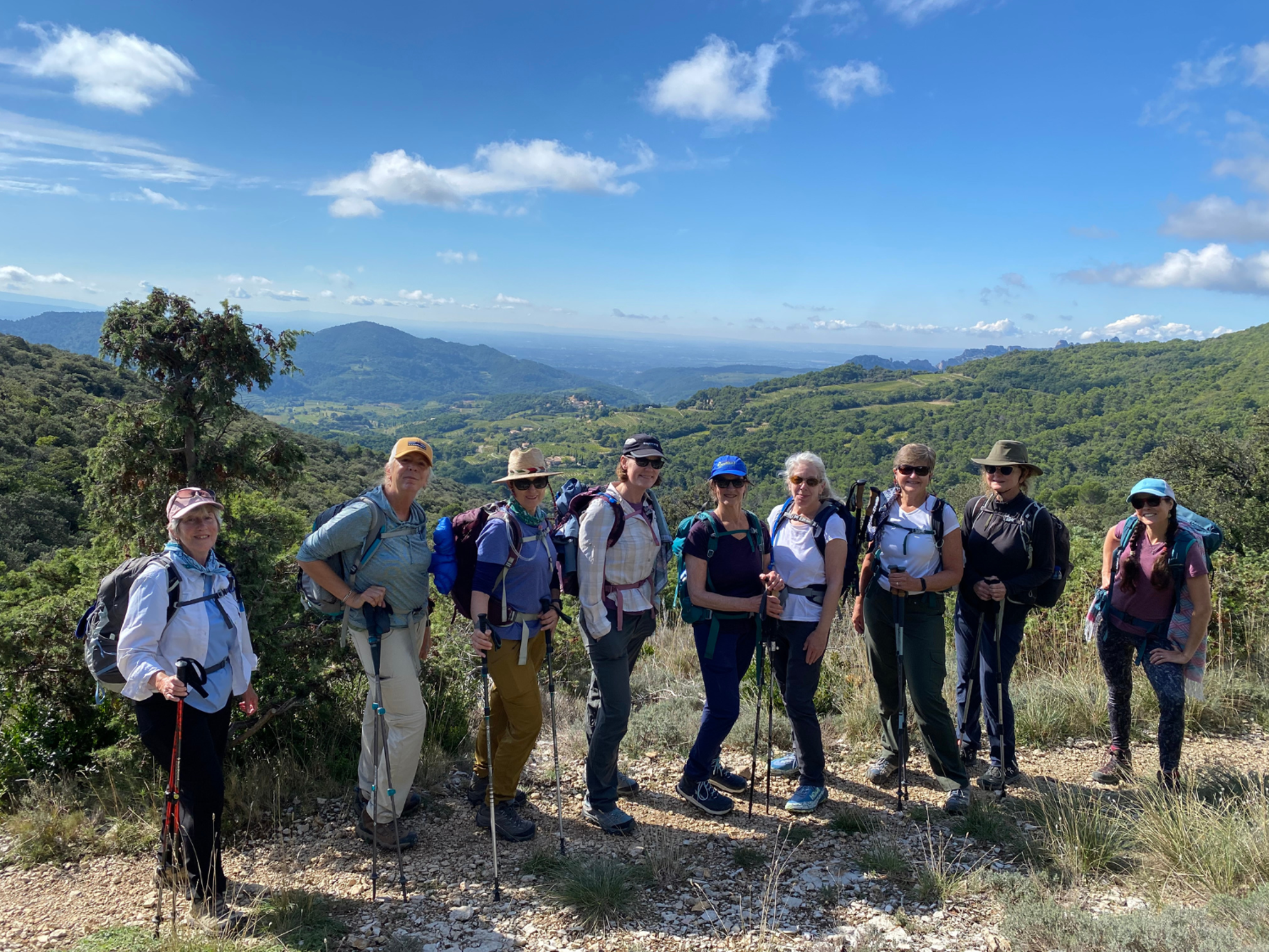 Picture of Colors of Provence Picture of Colors of Provence