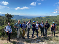 Picture of Colors of Provence Picture of Colors of Provence