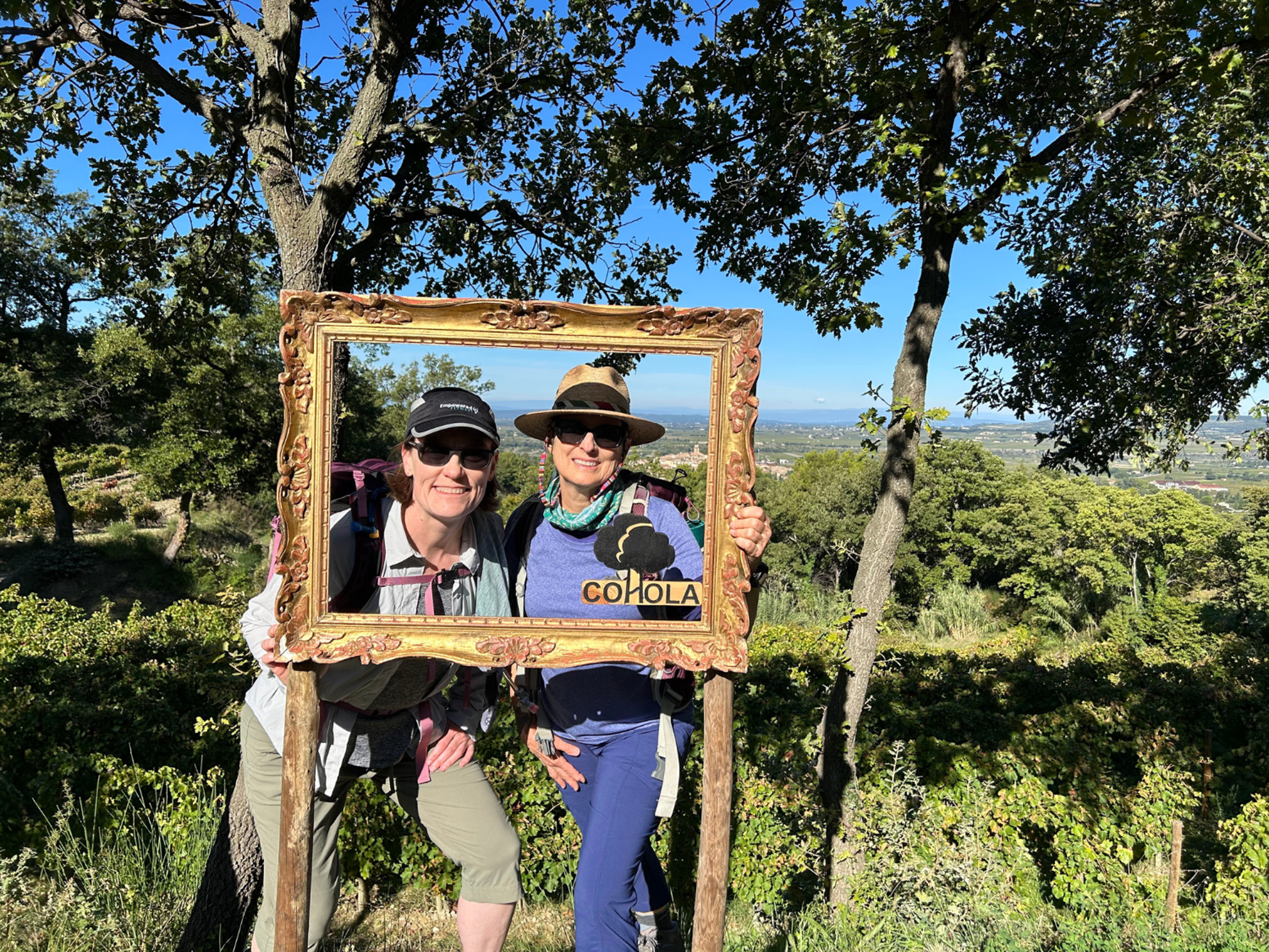 Picture of Colors of Provence Picture of Colors of Provence