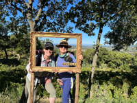 Picture of Colors of Provence Picture of Colors of Provence