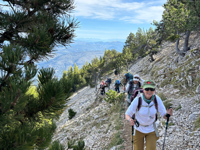Picture of Colors of Provence Picture of Colors of Provence
