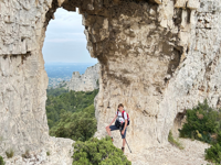 Picture of Colors of Provence Picture of Colors of Provence