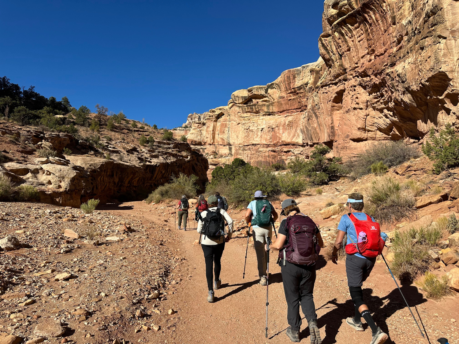 Picture of Hiking Utah's Majestic Parks