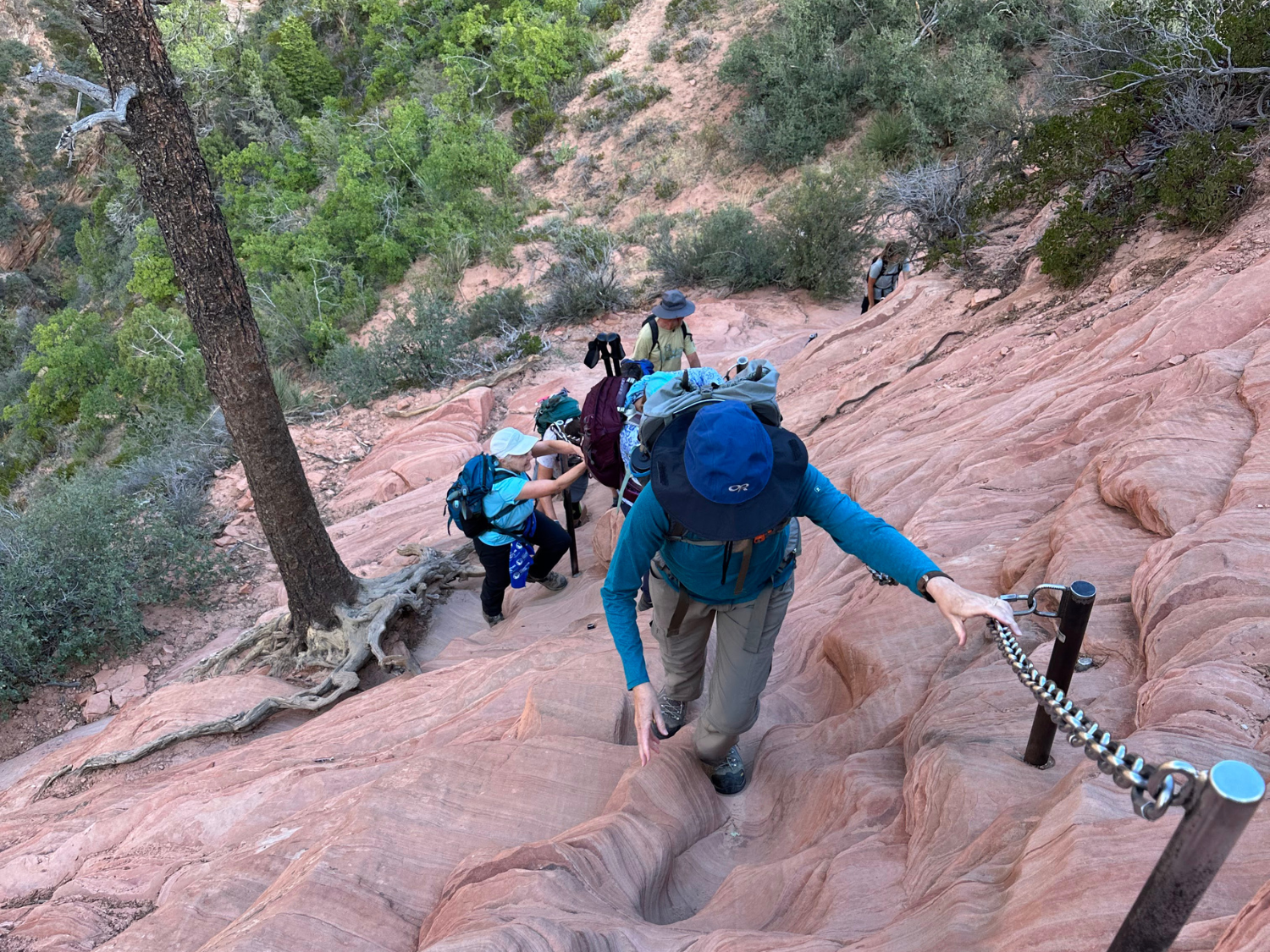 Picture of Hiking Utah's Majestic Parks