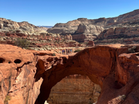 Picture of Hiking Utah's Majestic Parks