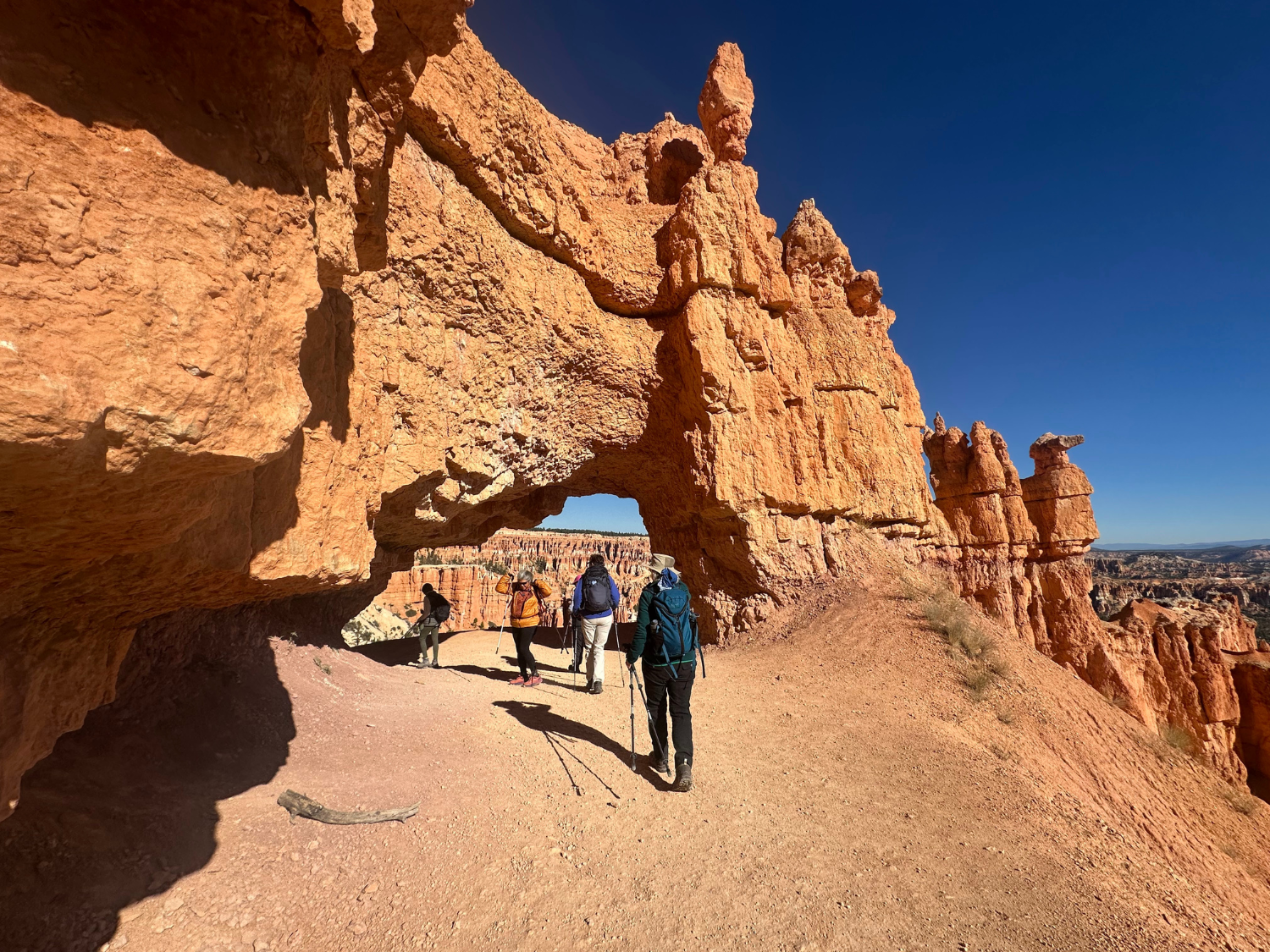 Picture of Hiking Utah's Majestic Parks