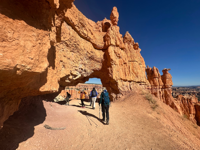 Picture of Hiking Utah's Majestic Parks