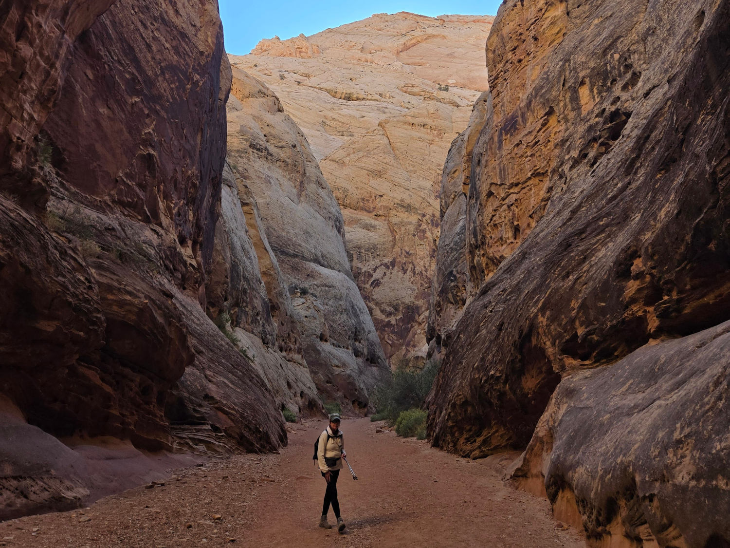 Picture of Hiking Utah's Majestic Parks