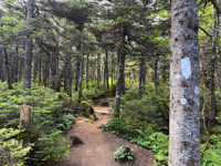 Picture of Slackpacking® New Hampshire