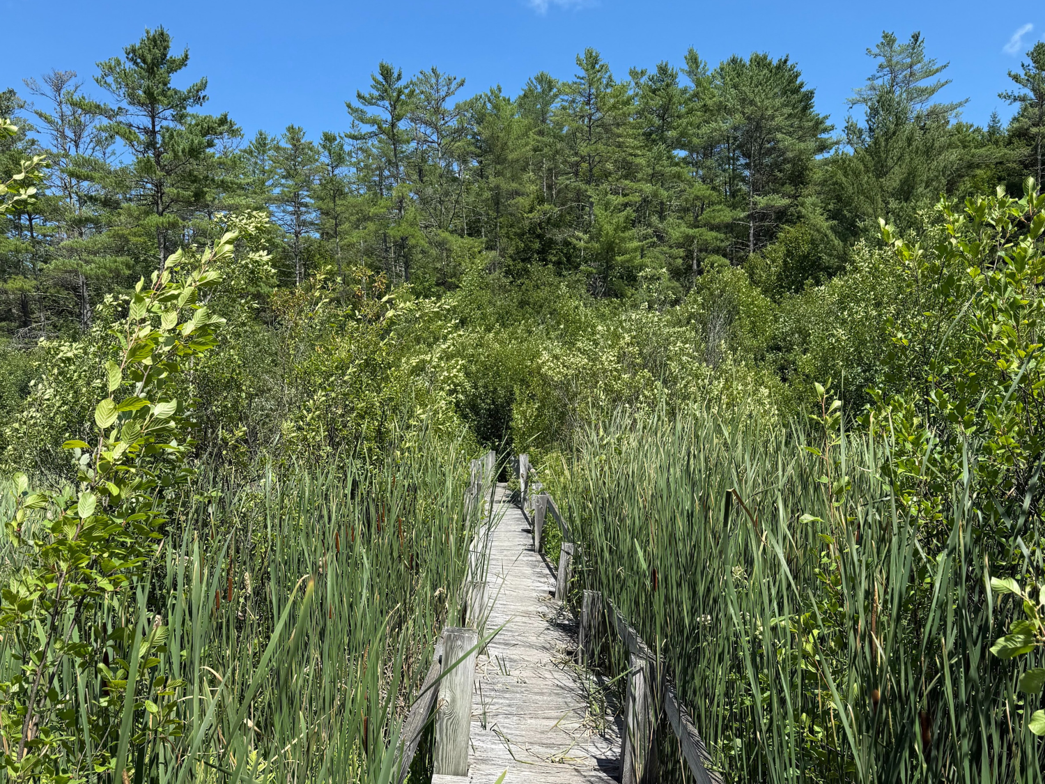 Picture of Slackpacking® New Hampshire