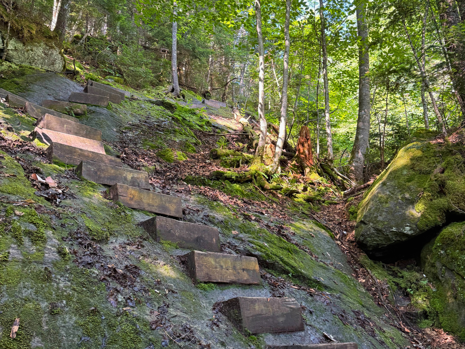 Picture of Slackpacking® New Hampshire