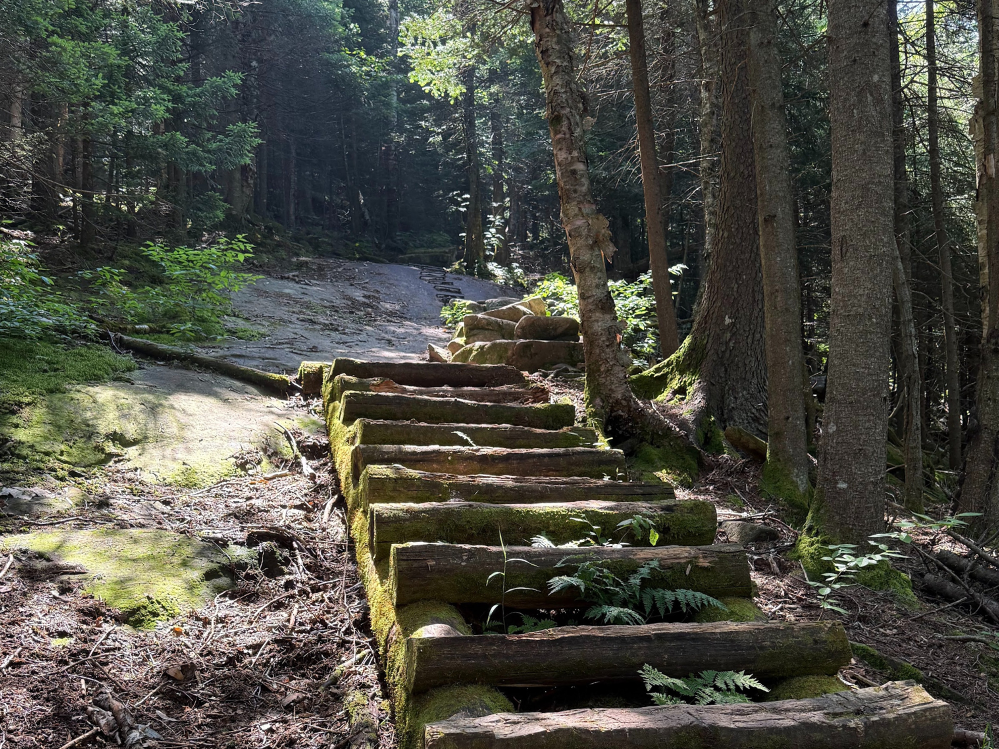 Picture of Slackpacking® New Hampshire