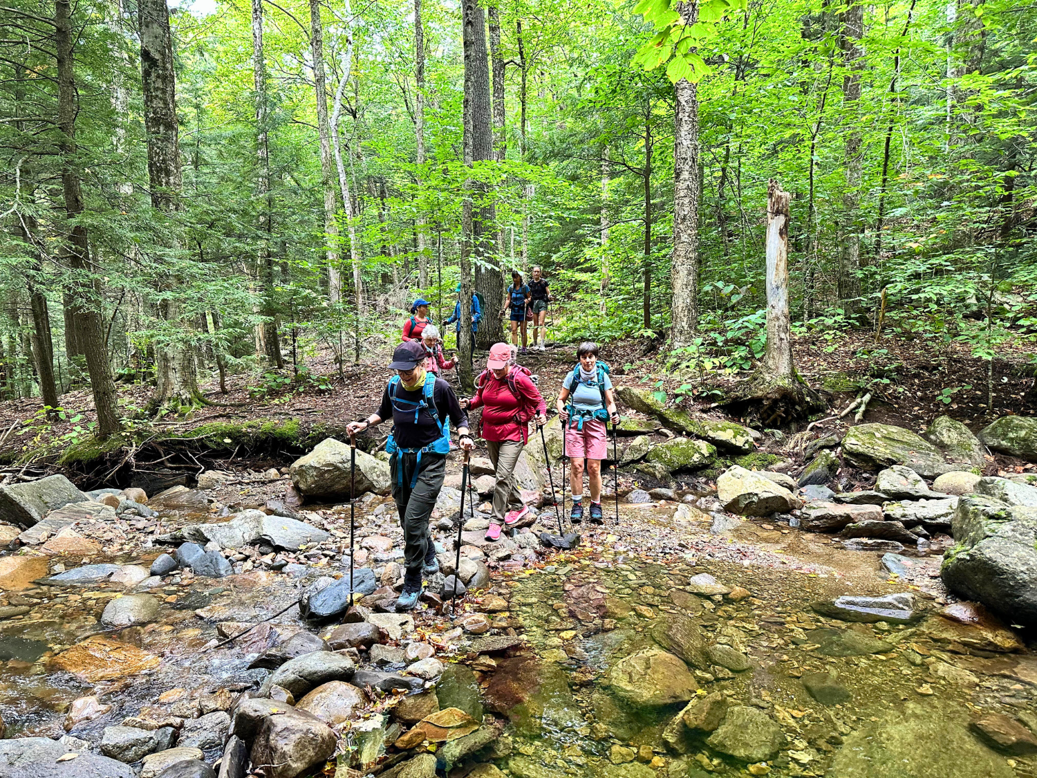 Picture of Slackpacking® New Hampshire