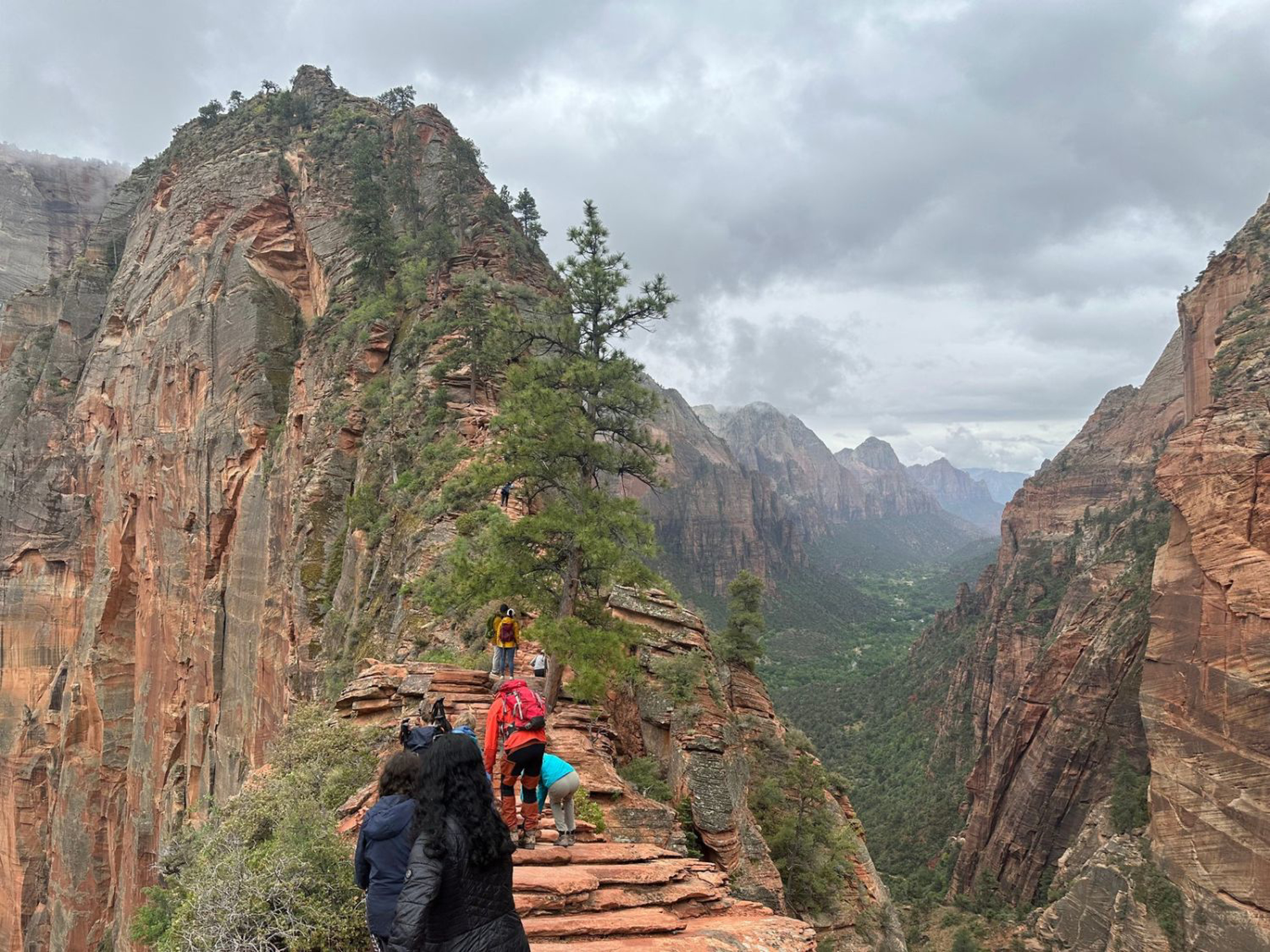 Picture of Hiking Bryce and Zion National Parks