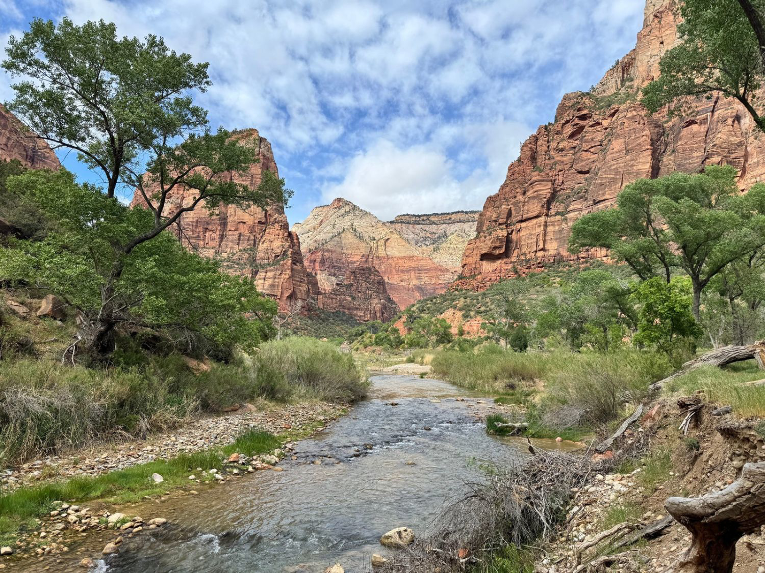Picture of Hiking Bryce and Zion National Parks
