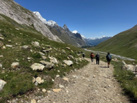 Picture of Tour du Mont Blanc Highlights