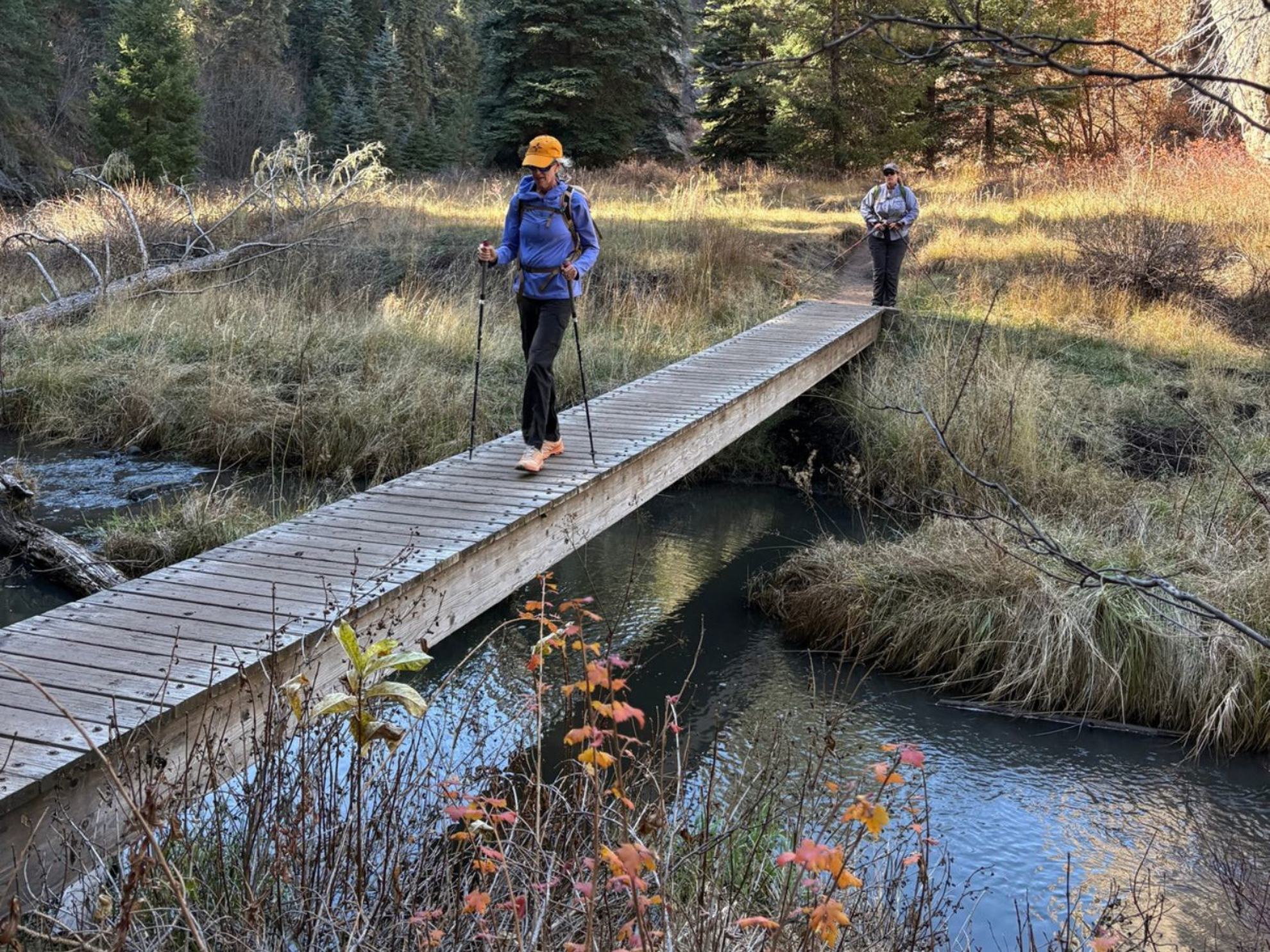Picture of Exploring New Mexico - Land of Enchantment