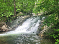 Picture of Hiking Shenandoah: Appalachian Trail & Blue Ridge Mountains