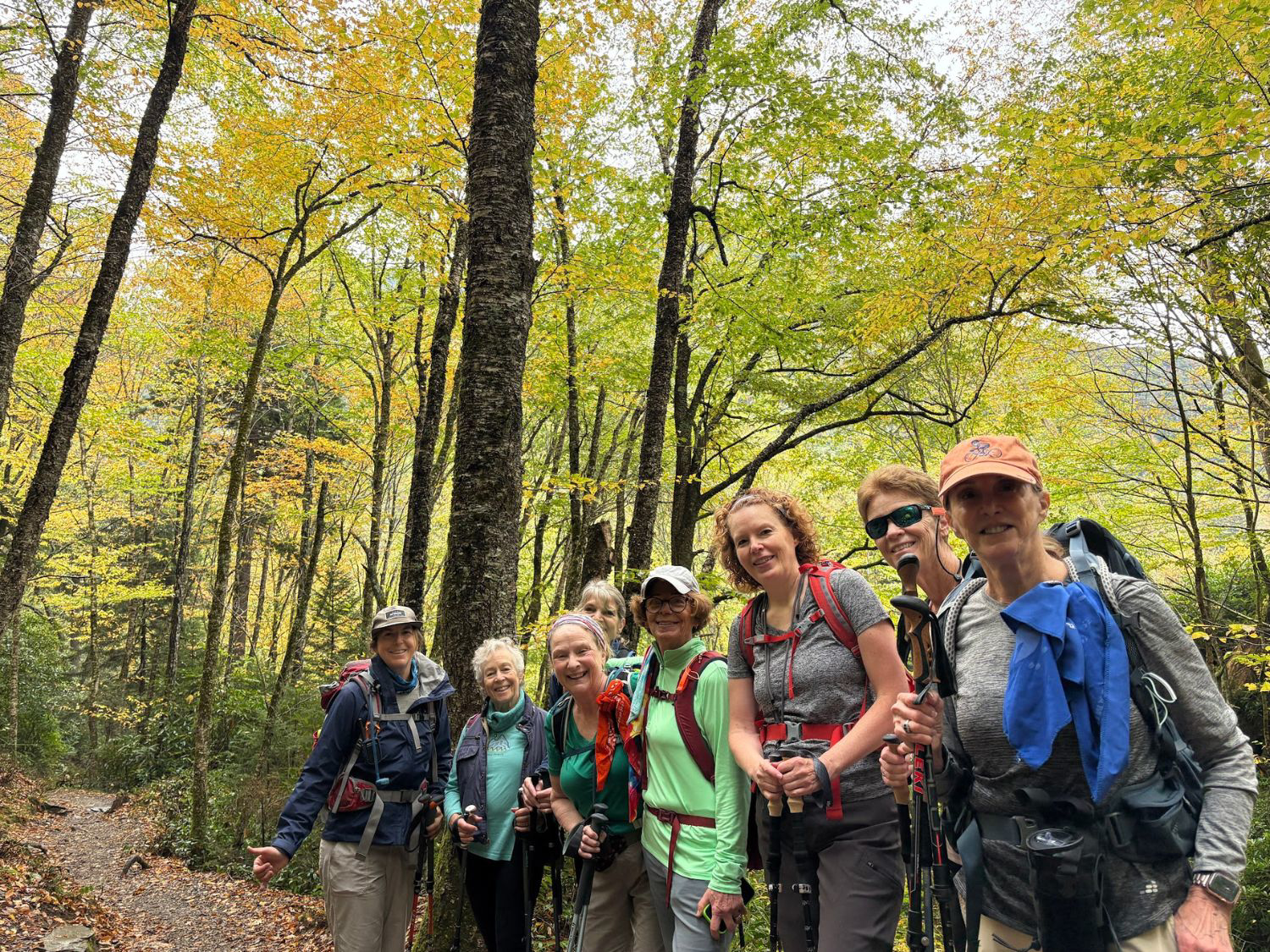 Picture of Fall in the Great Smokies