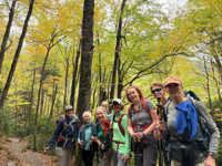 Picture of Fall in the Great Smokies