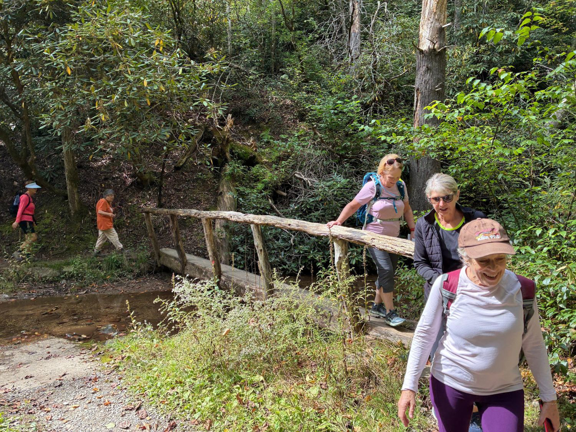 Picture of Fall in the Great Smokies