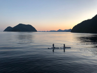 Picture of Alaska: The Kenai Peninsula