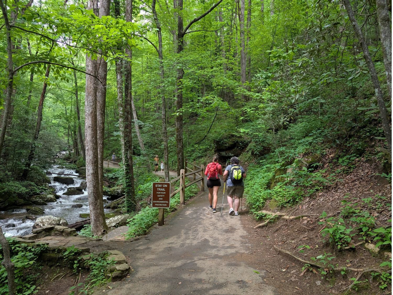 Picture of Waterfalls, Wildflowers, and Wineries
