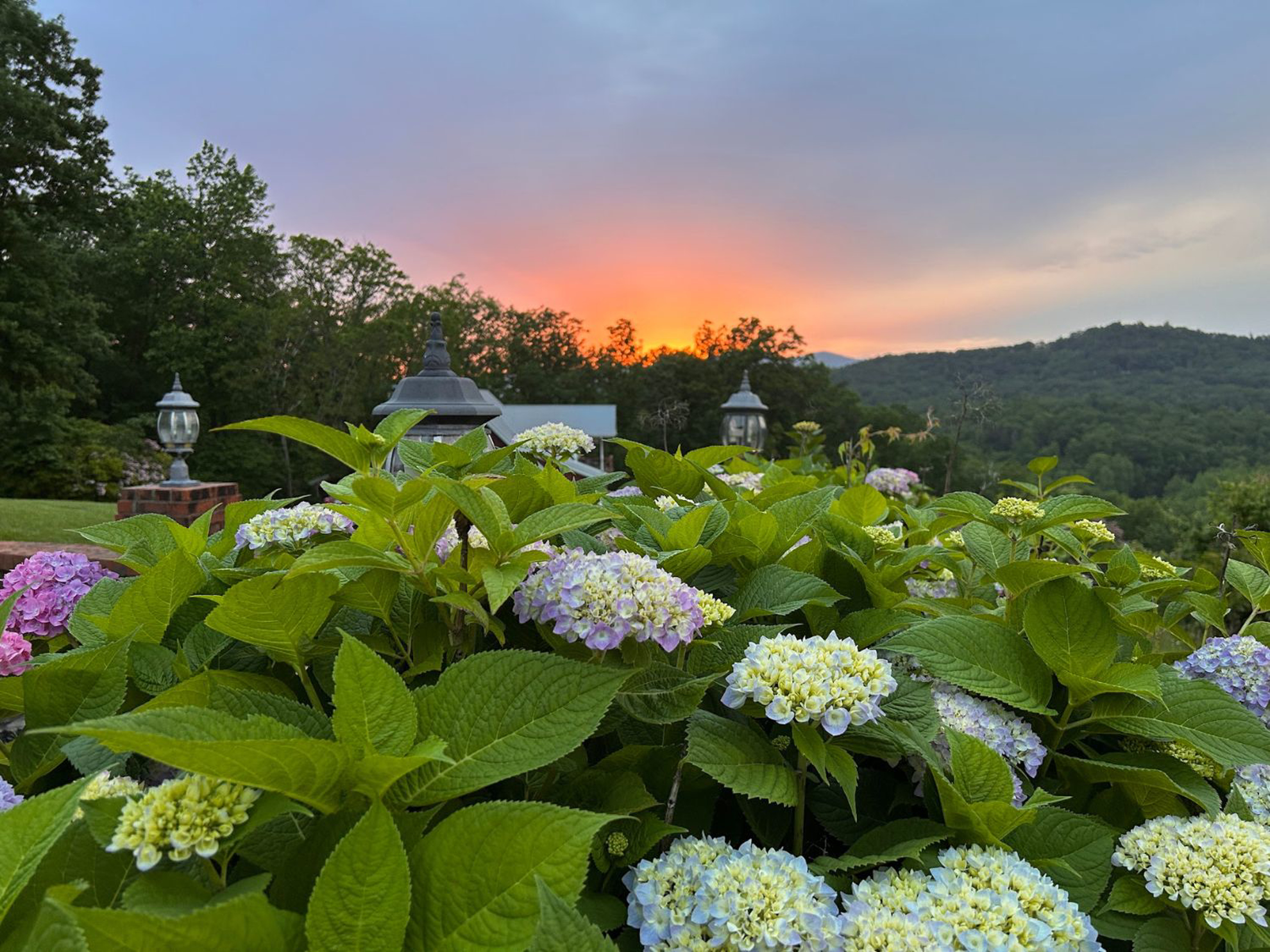 Picture of Waterfalls, Wildflowers, and Wineries